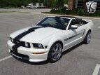 Thumbnail Photo 8 for 2009 Ford Mustang